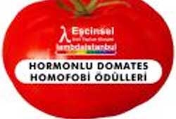 Haber | 'Hormonlu Domates' Kimin Olacak